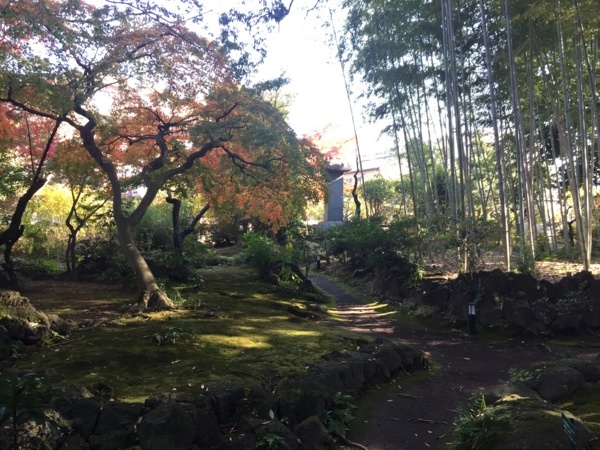 [浜松静岡][Garden]