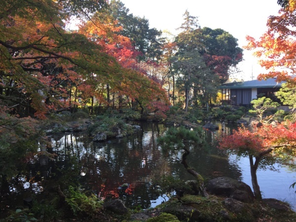 [浜松静岡][Garden]