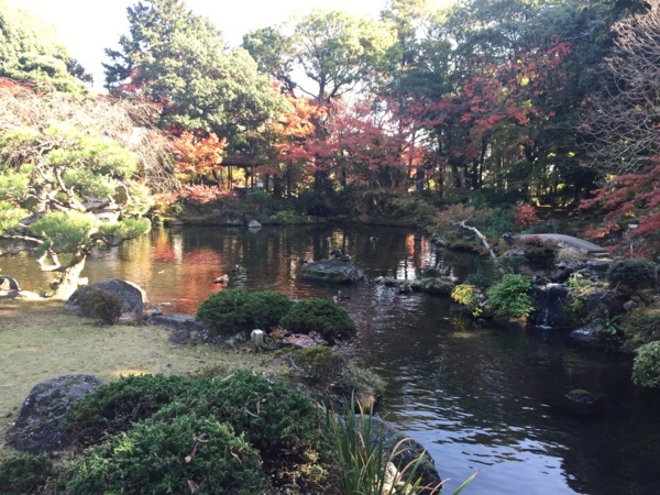 [浜松静岡][Garden]