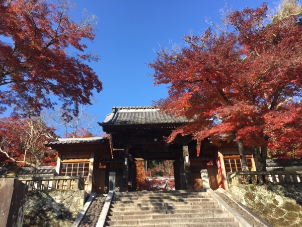 [浜松静岡][Garden]