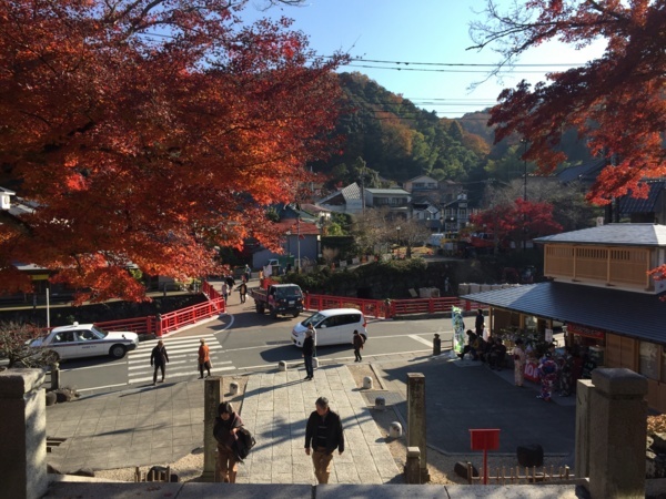 [浜松静岡][Garden]