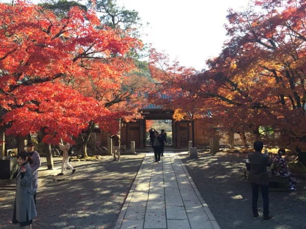 [浜松静岡][Garden]