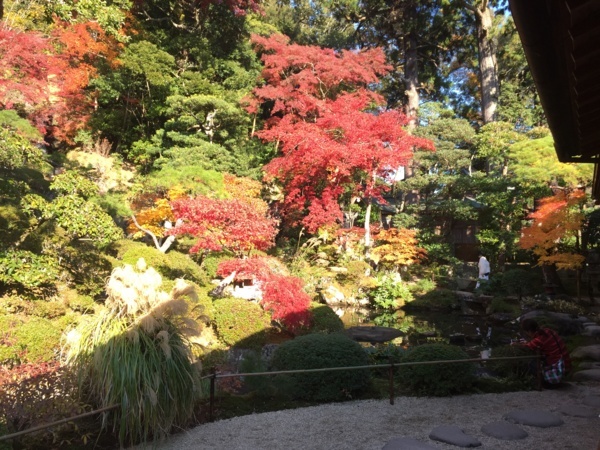 [浜松静岡][Garden]