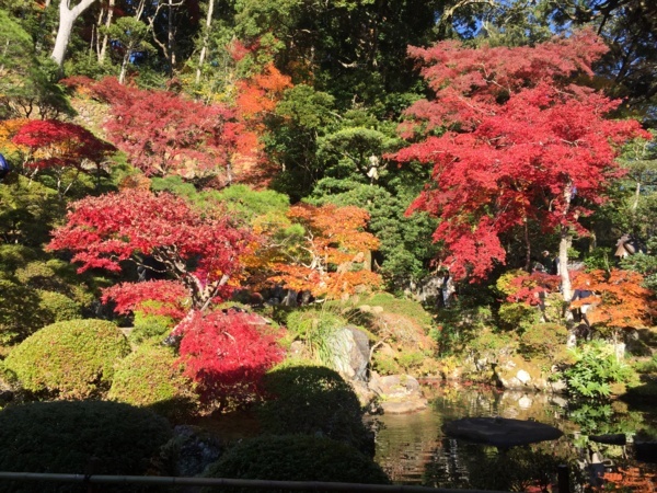 [浜松静岡][Garden]