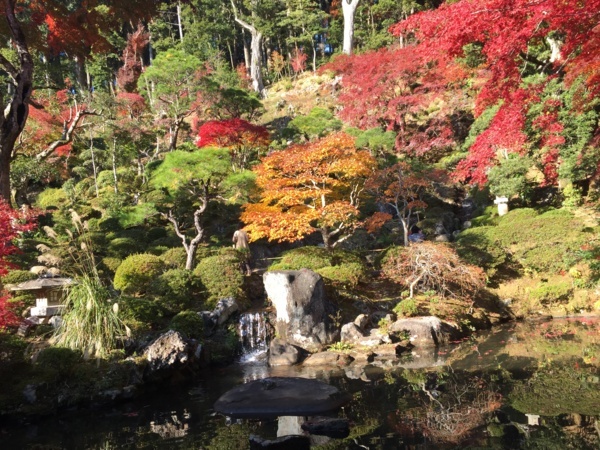 [浜松静岡][Garden]