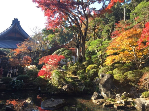 [浜松静岡][Garden]