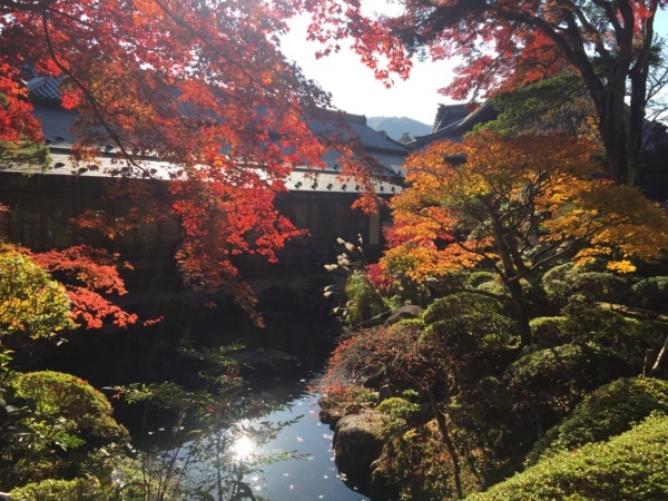 [浜松静岡][Garden]