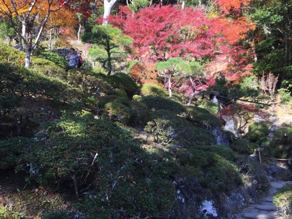 [浜松静岡][Garden]