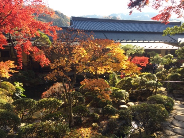 [浜松静岡][Garden]