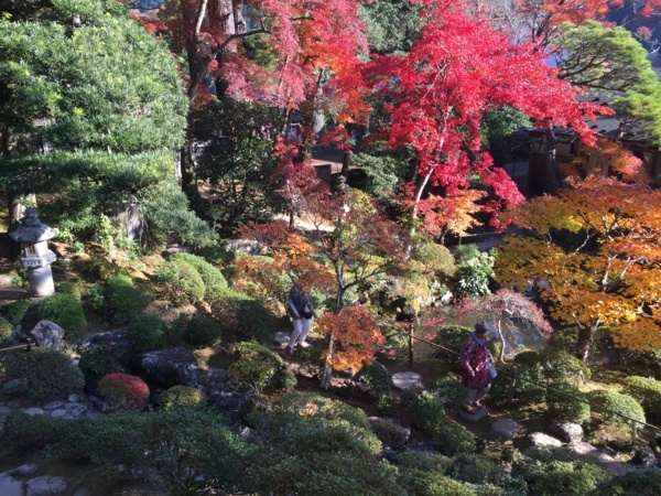 [浜松静岡][Garden]