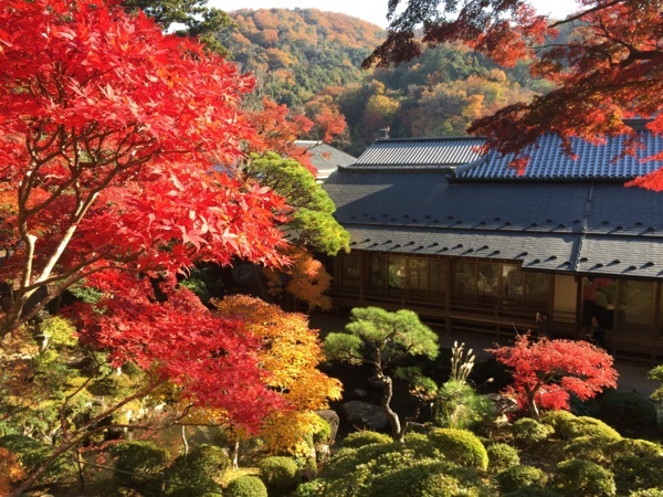 [浜松静岡][Garden]