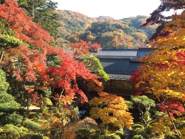 [浜松静岡][Garden]