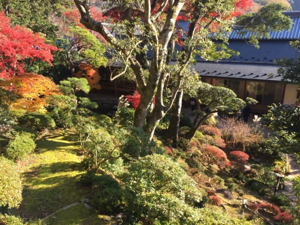 [浜松静岡][Garden]