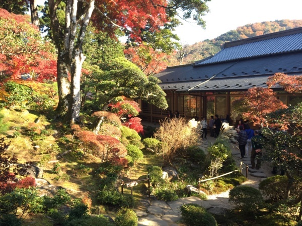 [浜松静岡][Garden]