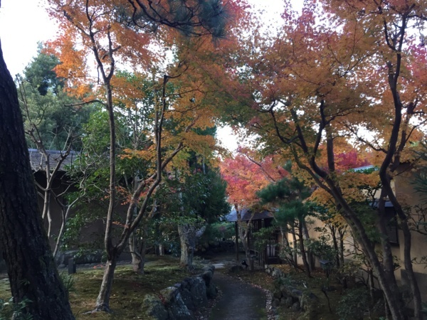 [浜松静岡][Garden]