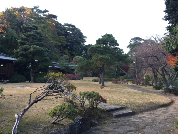 [浜松静岡][Garden]