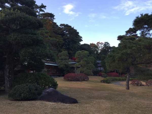 [浜松静岡][Garden]