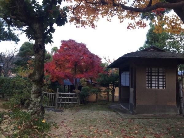 [浜松静岡][Garden]