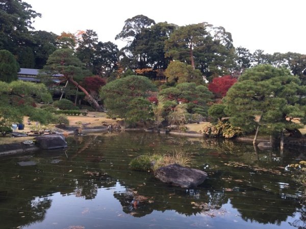 [浜松静岡][Garden]