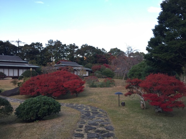 [浜松静岡][Garden]