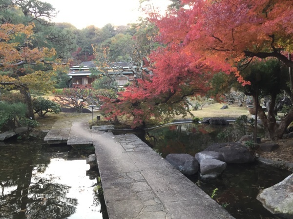 [浜松静岡][Garden]