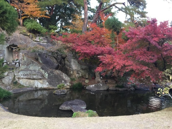 [浜松静岡][Garden]