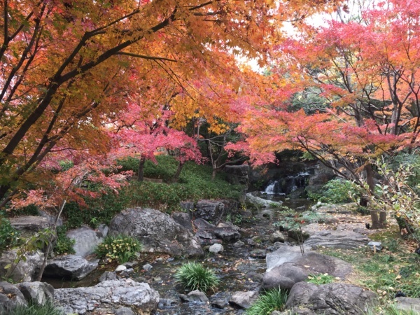 f:id:airgyan:20171205183842j:image