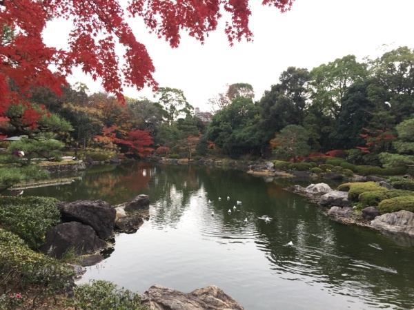 f:id:airgyan:20171205183901j:image