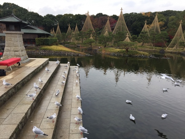 f:id:airgyan:20171205183905j:image