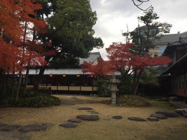 f:id:airgyan:20171205184942j:image f:id:airgyan:20171205184942j:image
