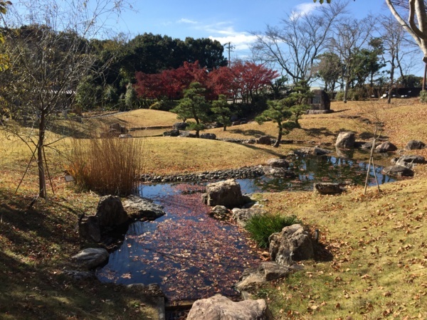 [浜松静岡][Garden]