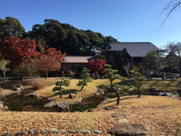 [浜松静岡][Garden]