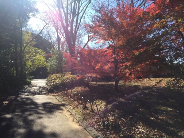 [浜松静岡][Garden]