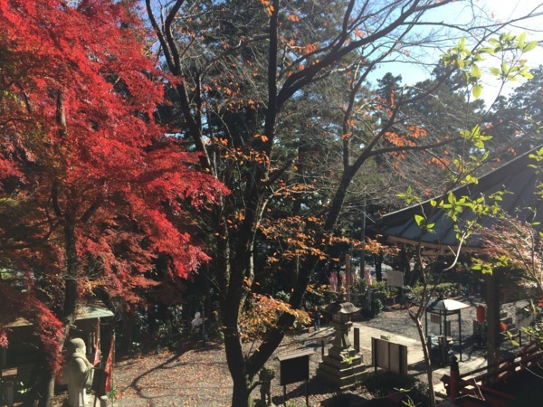 f:id:airgyan:20171206135023j:image