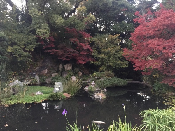 f:id:airgyan:20171206135904j:image