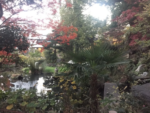 [浜松静岡][Garden]