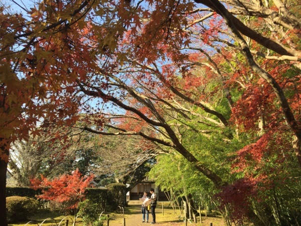 f:id:airgyan:20180112212506j:image