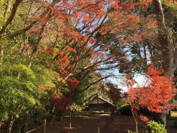 f:id:airgyan:20180112212507j:image