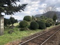 [Travel][Garden][Train]