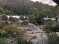 [Travel][Garden]