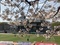 [Football]