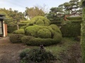 [Garden]