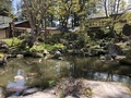 [Garden]