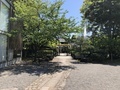[Garden]