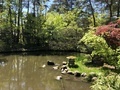 [Garden]