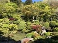 [Garden]