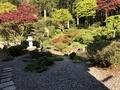 [Garden]