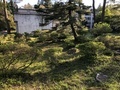 [Garden]