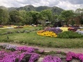 [Garden]