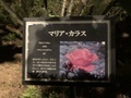 [Garden]